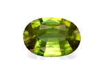 Gemstone Cut Gemstone Cut