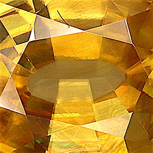 product close up Product closeup