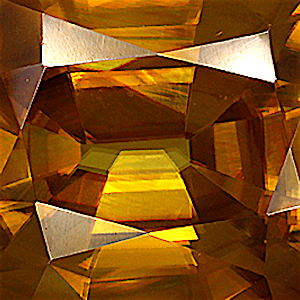 product close up Product closeup