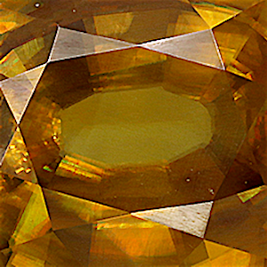 product close up Product closeup