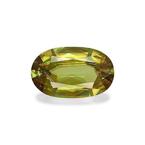 Product image-1 Product image-1