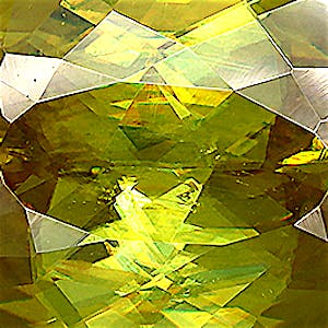 product close up Product closeup