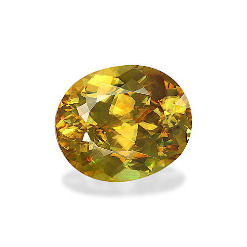 Product image-1 Product image-1