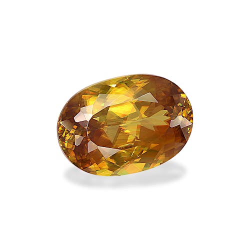 Product image-1 Product image-1