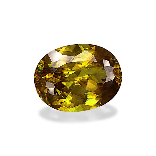 Product image-1 Product image-1