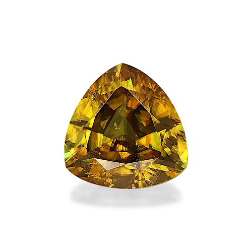 Product image-1 Product image-1