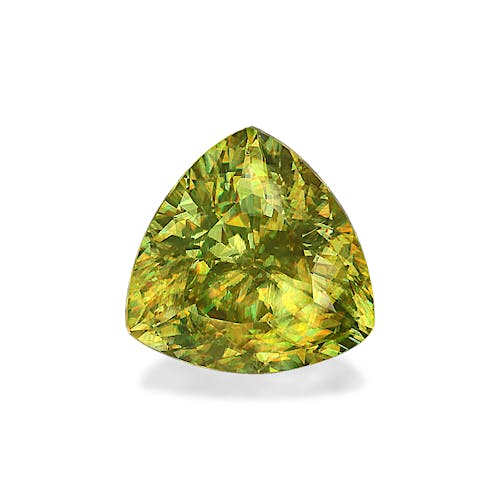 Product image-1 Product image-1