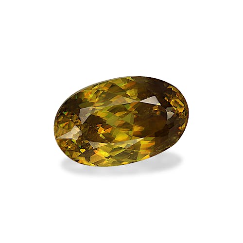 Product image-1 Product image-1