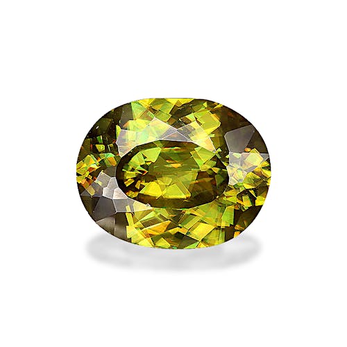 Product image-1 Product image-1