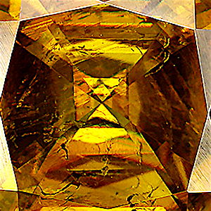 product close up Product closeup