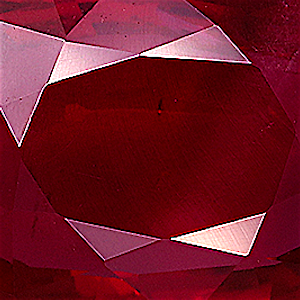 product close up Product closeup