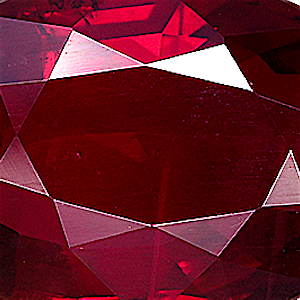 product close up Product closeup