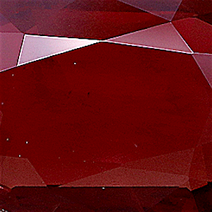 product close up Product closeup