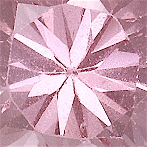 product close up Product closeup