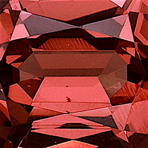 product close up Product closeup