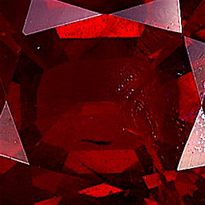 product close up Product closeup