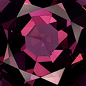 product close up Product closeup