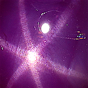 product close up Product closeup