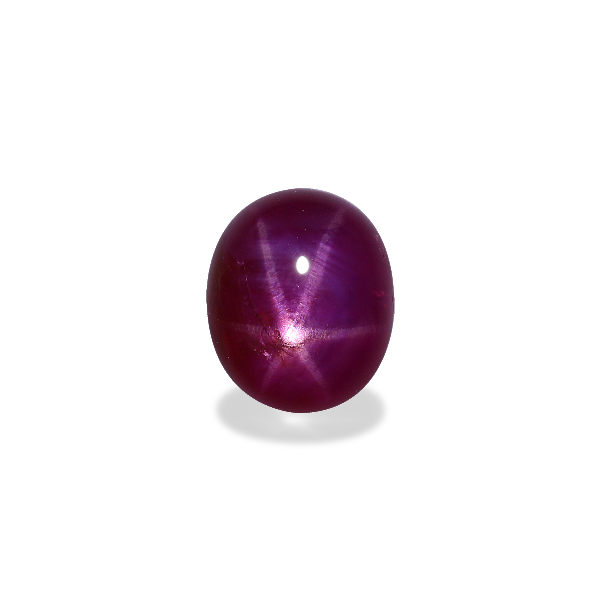 Pink Star Ruby 2.73ct - 8x6mm (SR0060)