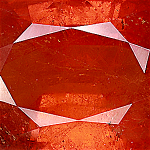 product close up Product closeup