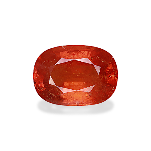 Product image-1 Product image-1