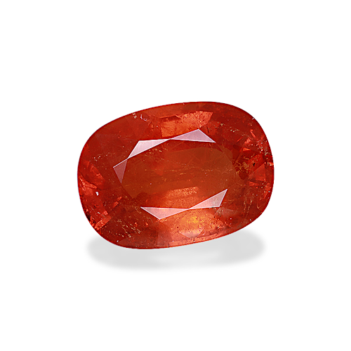 Product image-1 Product image-1