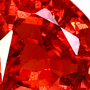 product close up Product closeup