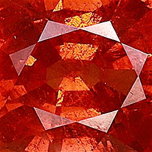 product close up Product closeup