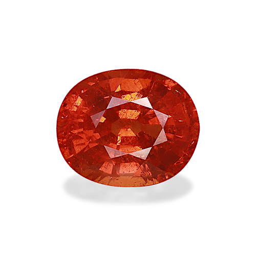 Product image-1 Product image-1