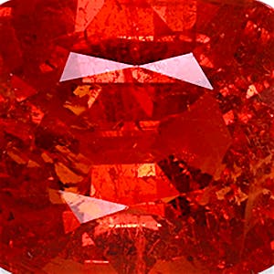 product close up Product closeup