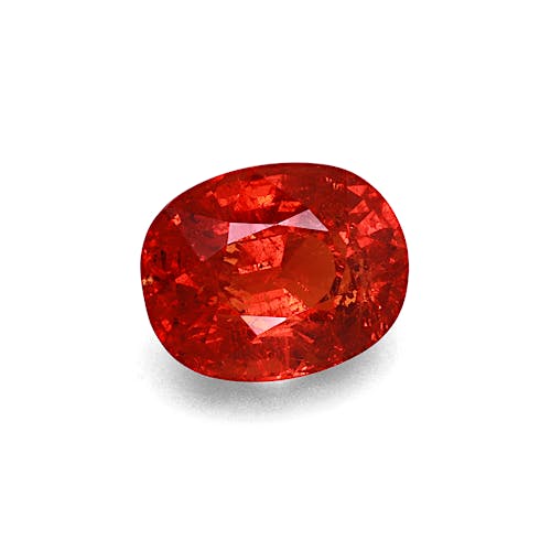 Product image-1 Product image-1