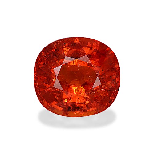 Product image-1 Product image-1