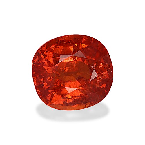 Product image-1 Product image-1