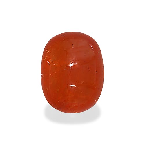 Product image-1 Product image-1