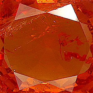 product close up Product closeup