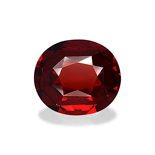 Product image-1 Product image-1