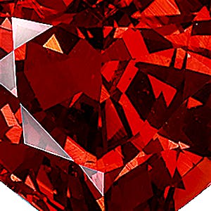 product close up Product closeup