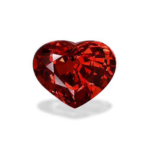 Product image-1 Product image-1