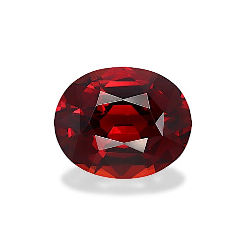 Product image-1 Product image-1