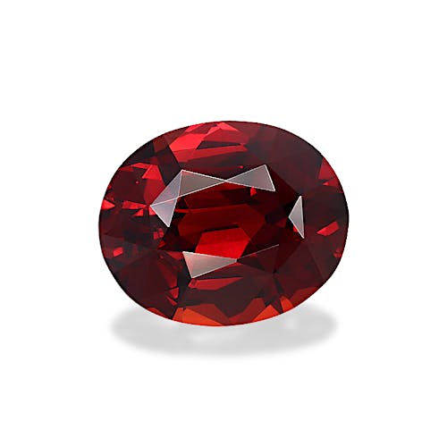 Product image-1 Product image-1