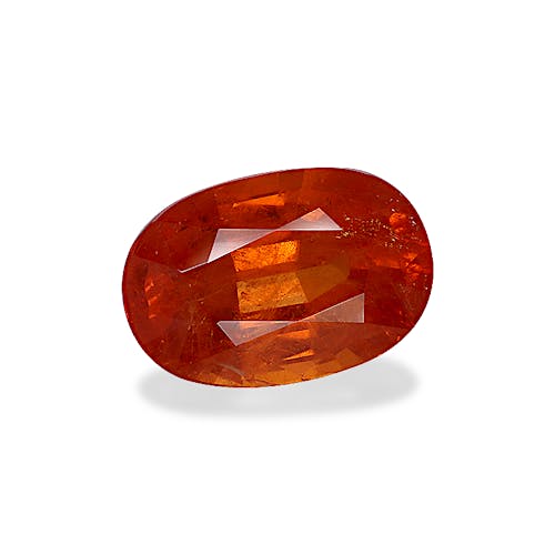 Product image-1 Product image-1