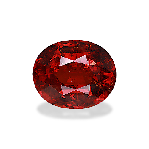 Product image-1 Product image-1