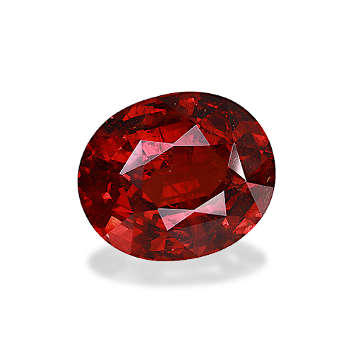 Product image-1 Product image-1