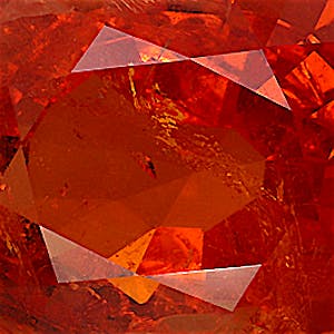 product close up Product closeup