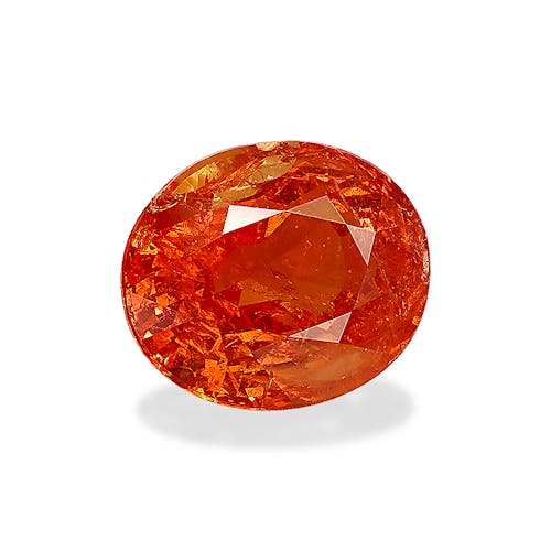 Product image-1 Product image-1