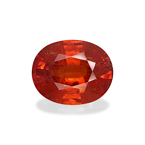 Product image-1 Product image-1