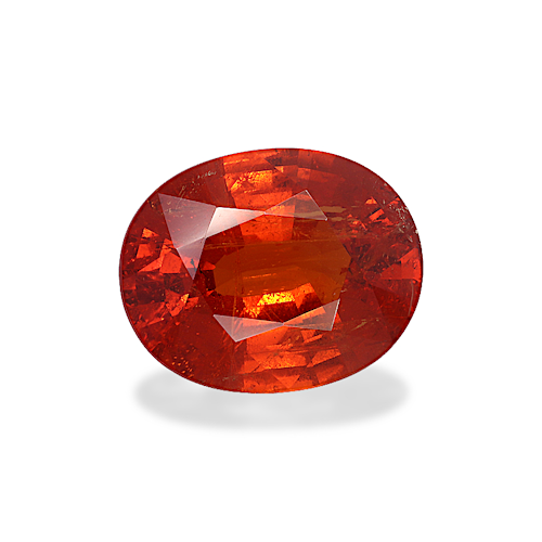 Product image-1 Product image-1