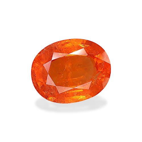 Product image-1 Product image-1