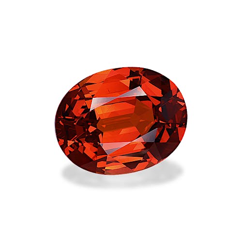 Product image-1 Product image-1