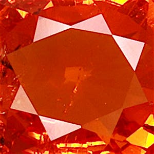 product close up Product closeup